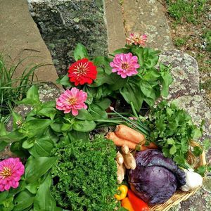 Meet your Posher, Janice